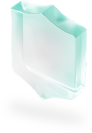 Crypto Stasiak Shield Icon